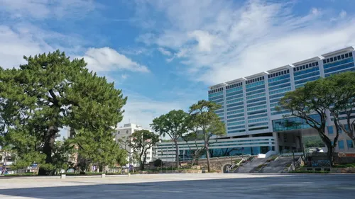 해남, 9억 투입… 2026년 전남형 골목상권 첫걸음 3개소 선정