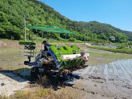 화순군, 벼 병해충 예방 ‘육묘상자처리제’…2월 27일까지 신청