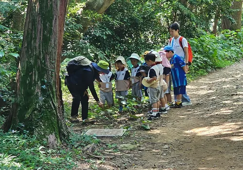 여수시, 2026년 유아숲체험원 신청…사계절 자연 속 창의력 키운다